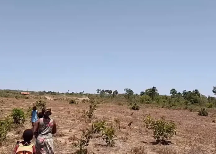 lagoa-dourad-750x536