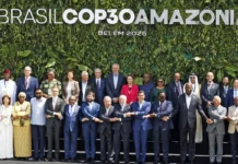 COP30: países amazônicos anunciam monitoramento conjunto da floresta