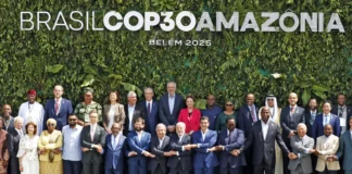 COP30: países amazônicos anunciam monitoramento conjunto da floresta