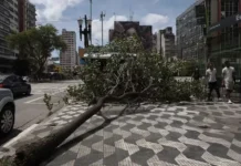 Efeito da privatização: 1,5 milhão de imóveis continuam sem energia em SP após ciclone