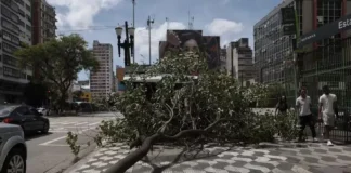 Efeito da privatização: 1,5 milhão de imóveis continuam sem energia em SP após ciclone