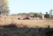 Família Caiado desafia o STF e mantém ocupação em área quilombola em Goiás