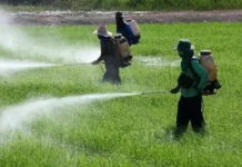 Intoxicações por agrotóxicos explodem e Brasil bate recorde de 11 anos