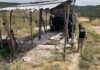69 trabalhadores são resgatados em condições análogas à escravidão no interior da Bahia