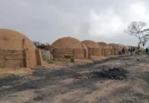 Sirlei Martins tem 508 infrações trabalhistas e R$ 51 milhões em multas ambientais