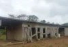 Homem é resgatado de trabalho escravo em fazenda isolada no Pará