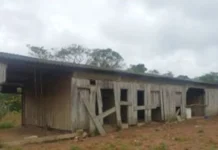 Homem é resgatado de trabalho escravo em fazenda isolada no Pará