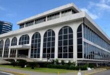 TCE-AL concede cautelar e impede uso de recursos da Saúde para hospital veterinário de Maceió